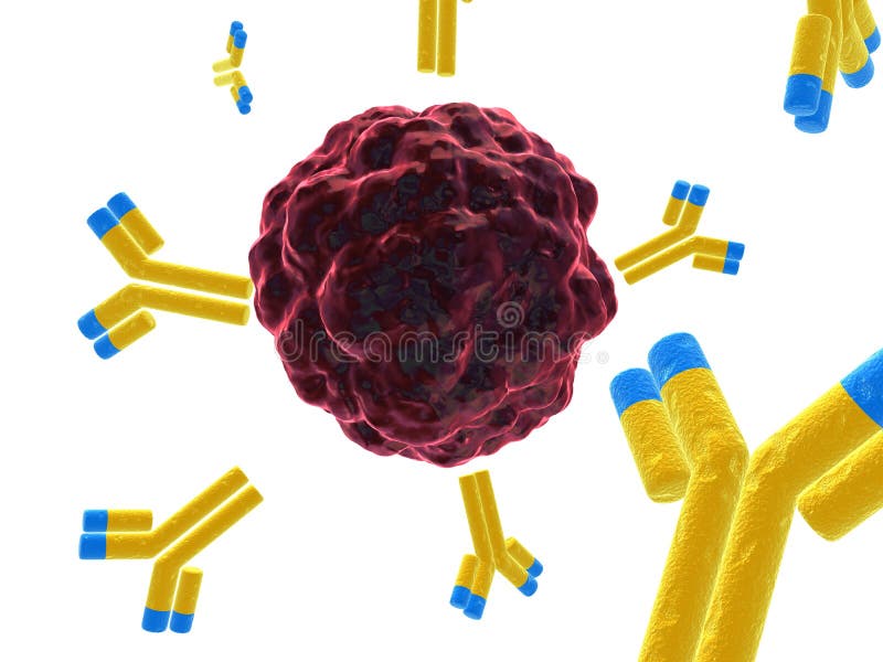 Tridimensional fusionado vista de cerca de cáncer celúla alguno anticuerpos.