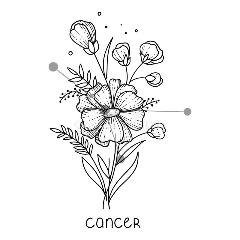 Cancer Horoscope Flower Icon Outline Vector. Zodiac Sign Astrology Stock  Vector - Illustration Of Virgo, Cancer: 228900802