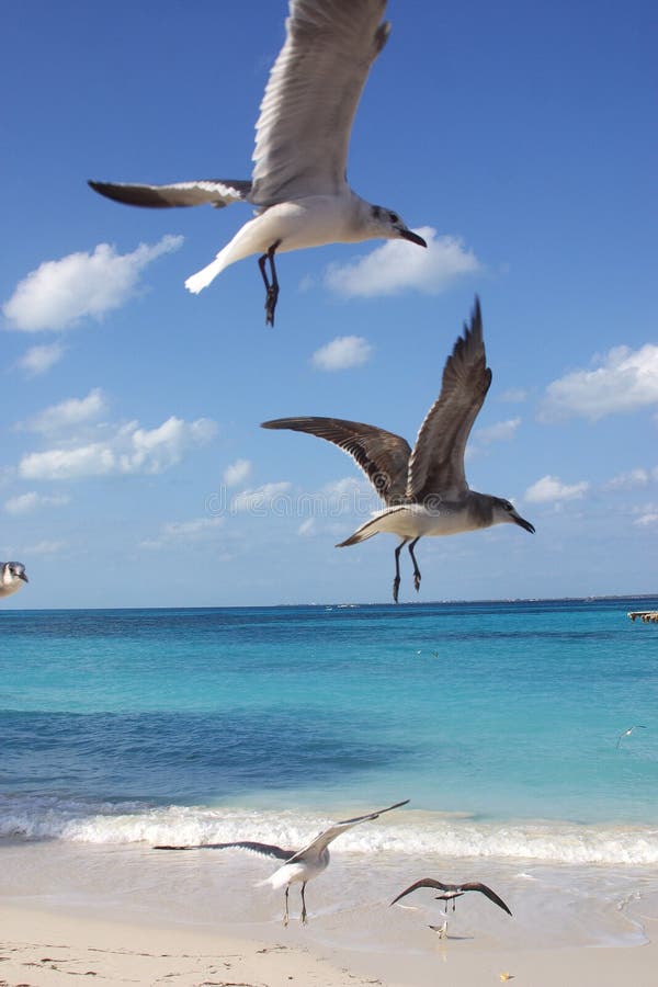 Cancun