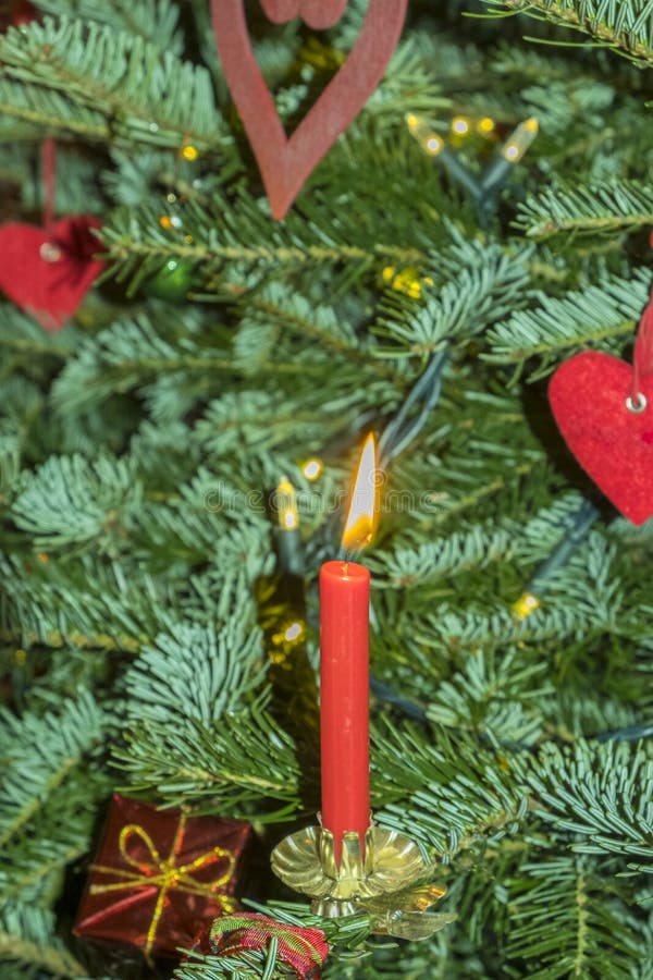 Candels ardientes de la Navidad en el árbol de navidad fotografía de archivo libre de regalías Candels ardientes de la Navidad en el árbol de navidad fotografía de archivo libre de regalías