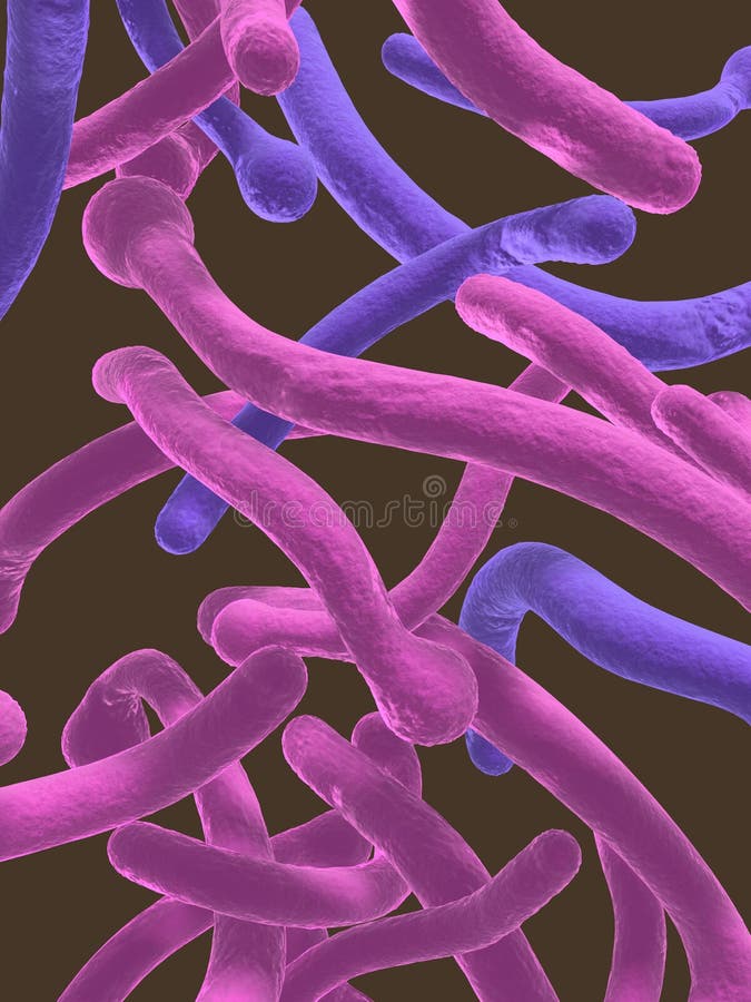 Candida albicans stock illustration