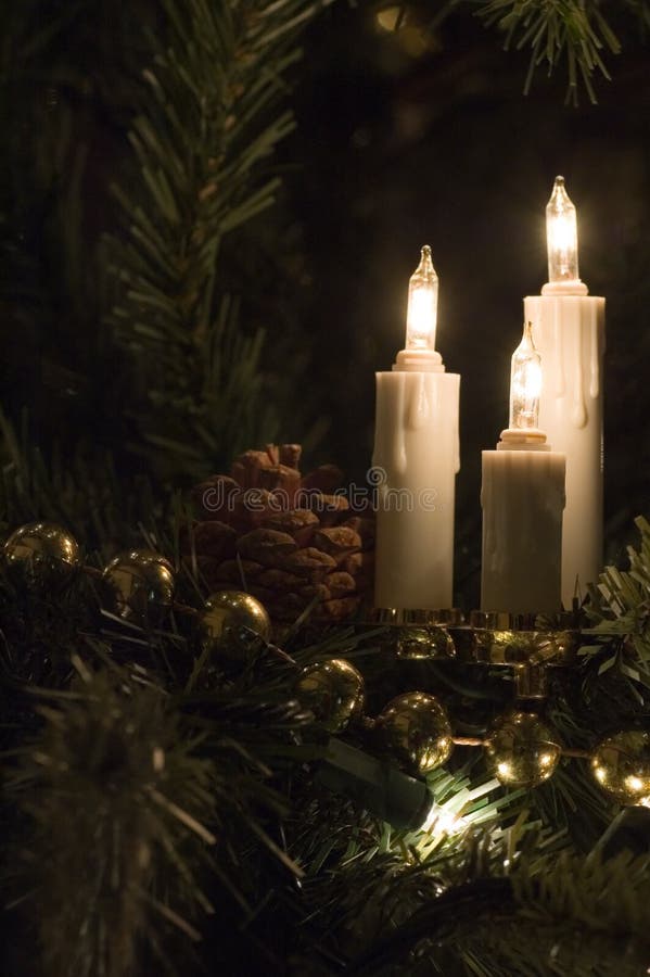 Candle Christmas Tree Lights Stock Photo - Image of tree, candle: 1583944