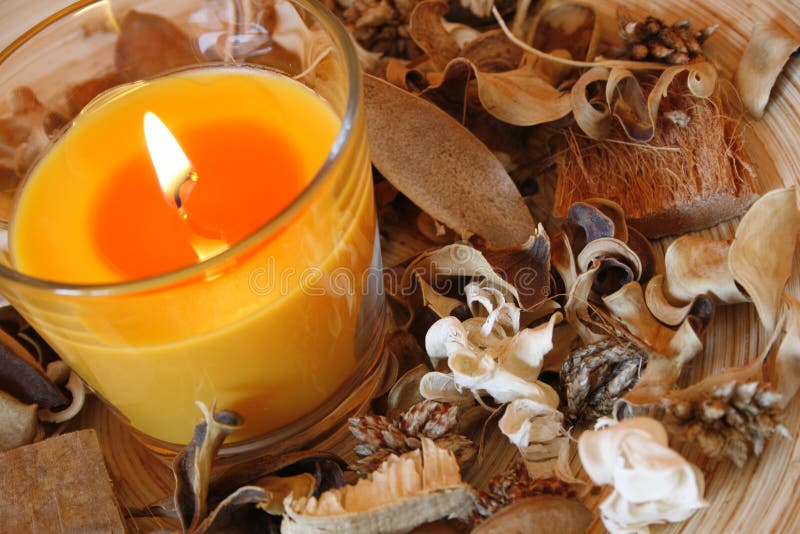 Candle and dried plants