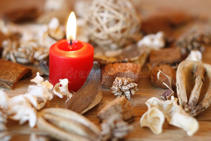 Candle and dried plants