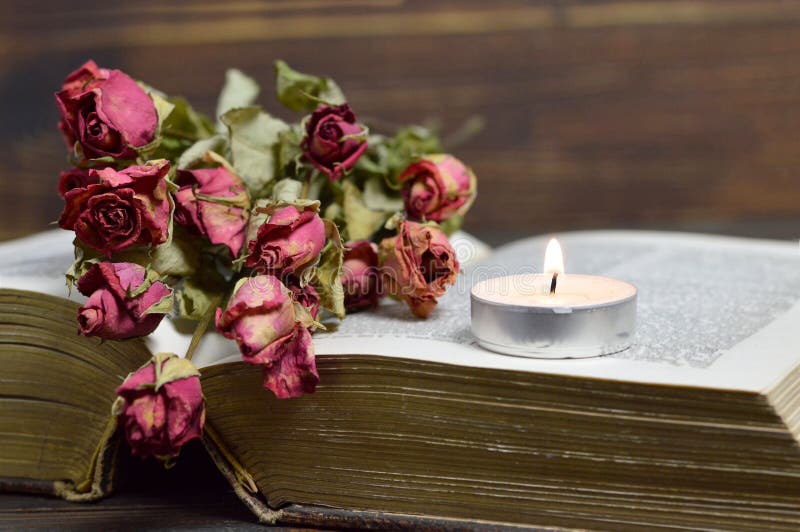 Candle and dry roses stock photo. Image of religion, candle 96469076