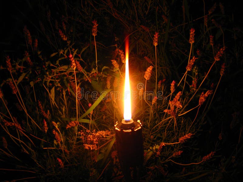 Candle of Peace for the World. Stock Photo Image of christmas, full