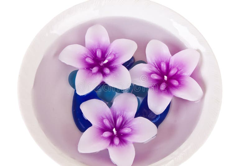 Beautiful Jasmine Flowers on Water in Bowl Stock Photo Image of copy