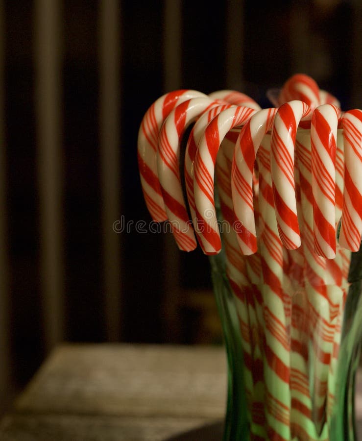 Candy Cane in glass cup stock photo. Image of candycane 159862938