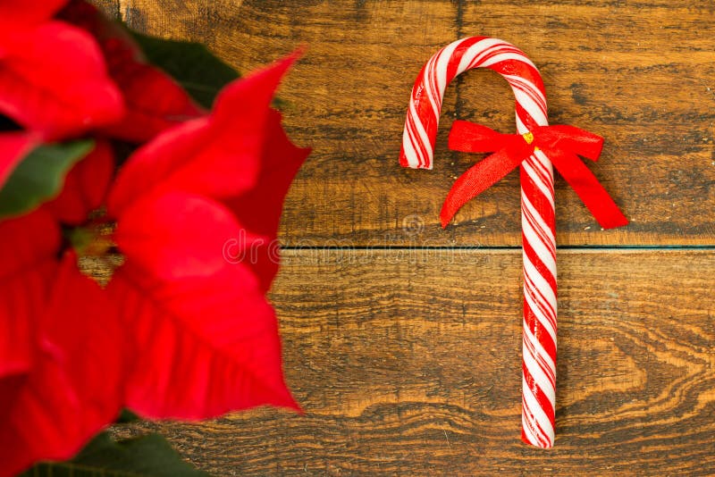 Candy Cane with and Plant with Red Leaves Stock Photo Image of