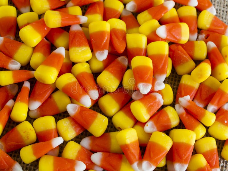 Candy Corn stock photo. Image of traditional, fall, cloth 26883378