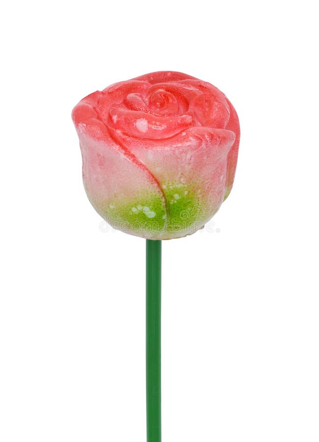 Candy Rose from Caramel in Box Stock Photo Image of happy, green