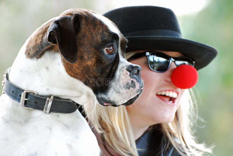 Cane del pugile che posa per la fotografia con il proprietario grazioso felice della giovane donna fotografia stock