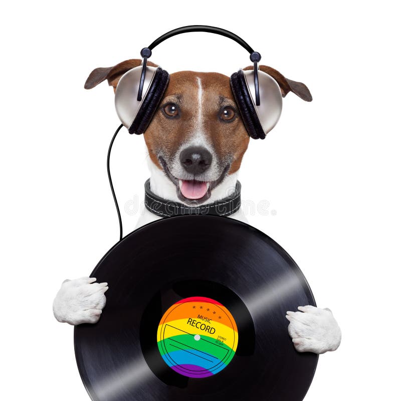 Music headphone vinyl record dog holding. Music headphone vinyl record dog holding