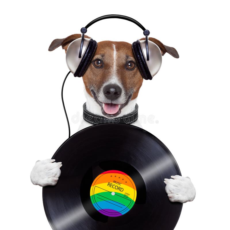Cane del record di vinile della cuffia di musica fotografie stock Cane del record di vinile della cuffia di musica fotografie stock