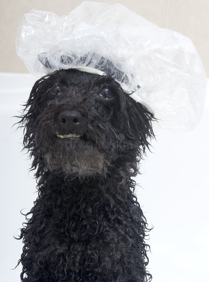 Cuffia Da Doccia Regolabile Per Bambini - Protezione Occhi E Orecchie, Materiale EVA, Design Con Cervo - Foto 2