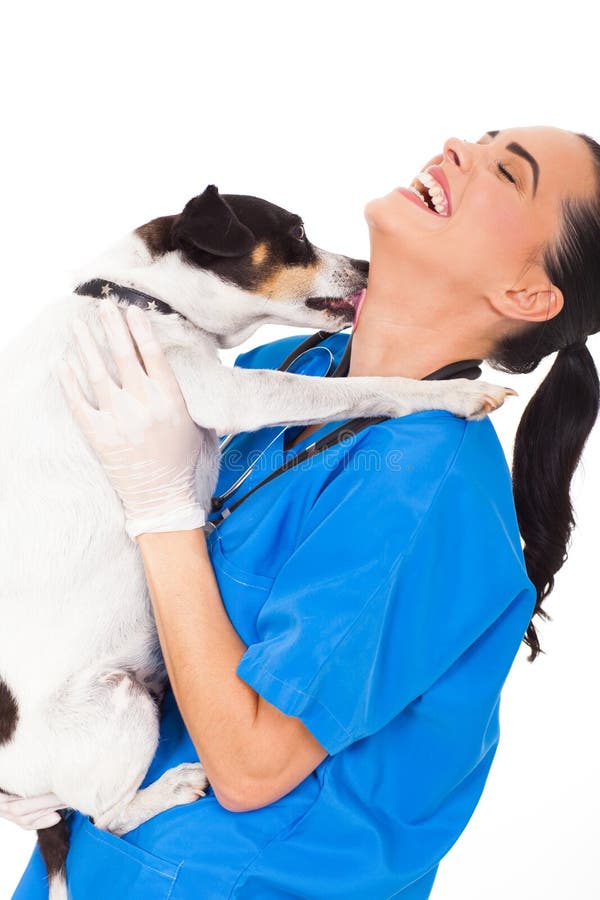 Funny pet dog licking vet nurse's neck on white background. Funny pet dog licking vet nurse's neck on white background