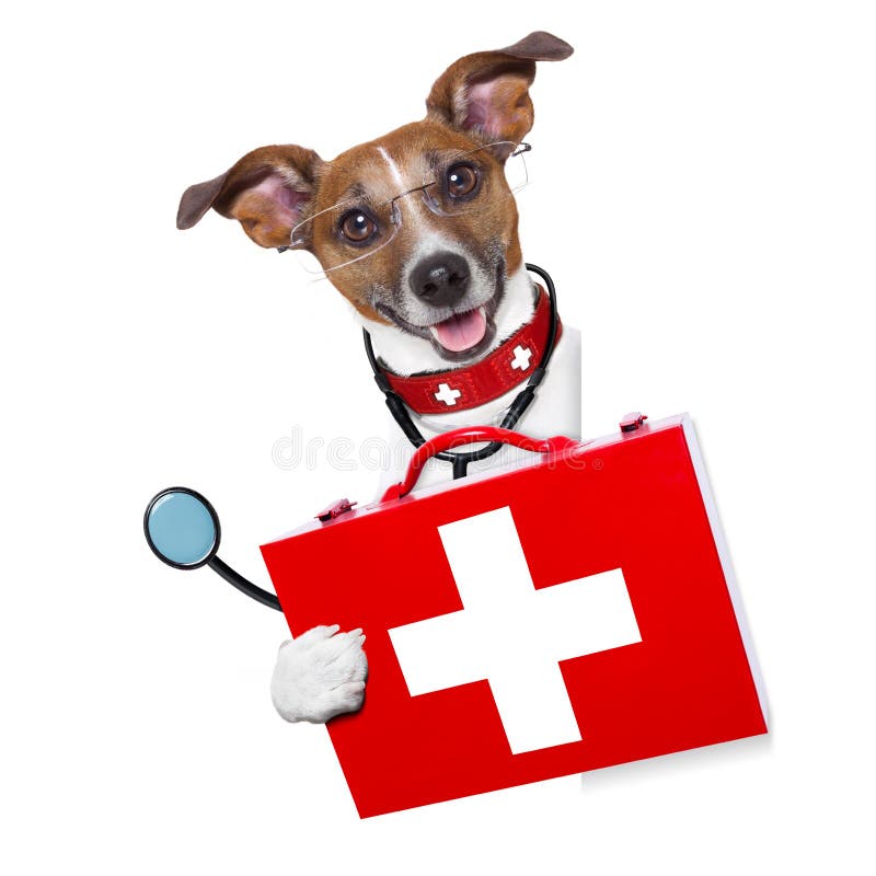 Cane di medico fotografie stock Cane di medico fotografie stock