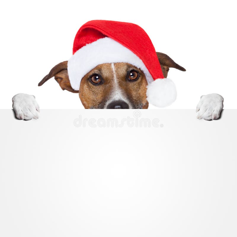 Cane di placeholder della bandiera di natale immagine stock libera da diritti Cane di placeholder della bandiera di natale immagine stock libera da diritti