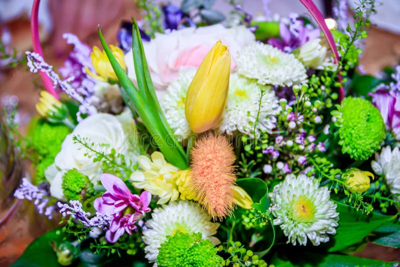 Canestro con un mazzo dei fiori Un canestro dei fiori Fiori naturali immagini stock libere da diritti Canestro con un mazzo dei fiori Un canestro dei fiori Fiori naturali immagini stock libere da diritti