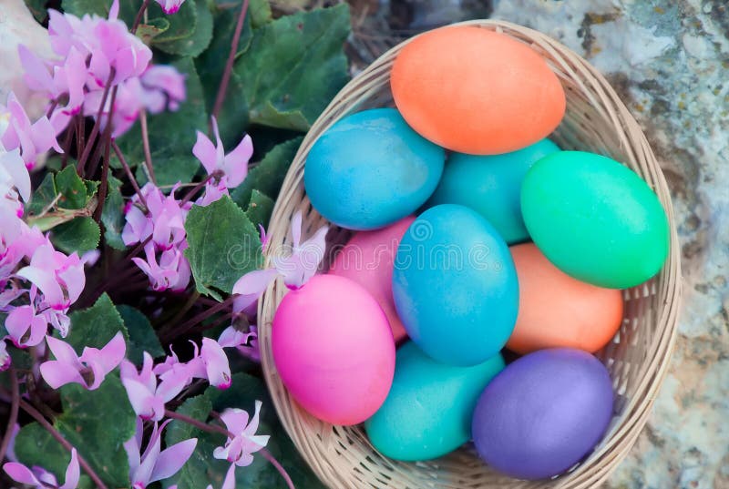 Canestro delle uova di Pasqua con i fiori di ciclamino immagine stock Canestro delle uova di Pasqua con i fiori di ciclamino immagine stock