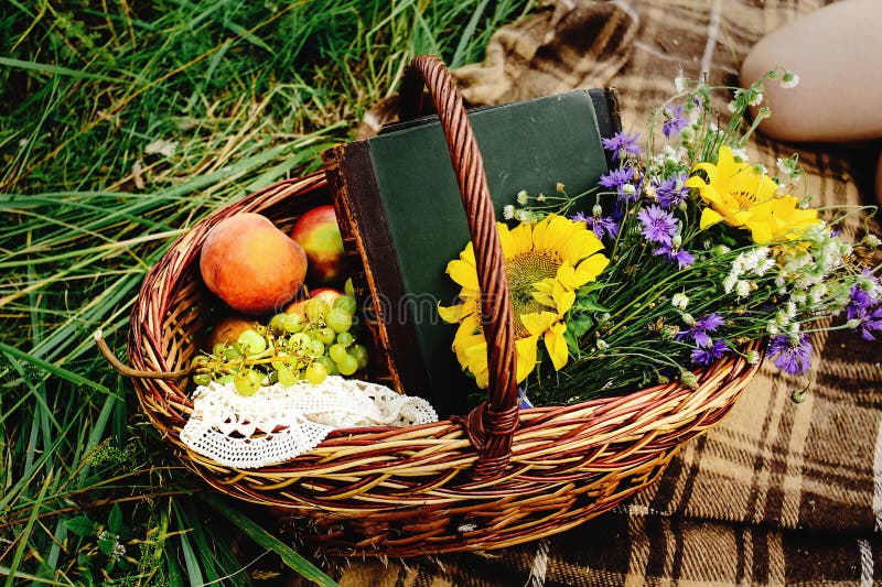 Canestro di vimini di bello picnic con i frutti variopinti del mazzo e fotografie stock libere da diritti
