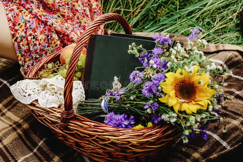Canestro di vimini di bello picnic con i frutti variopinti del mazzo e fotografia stock libera da diritti