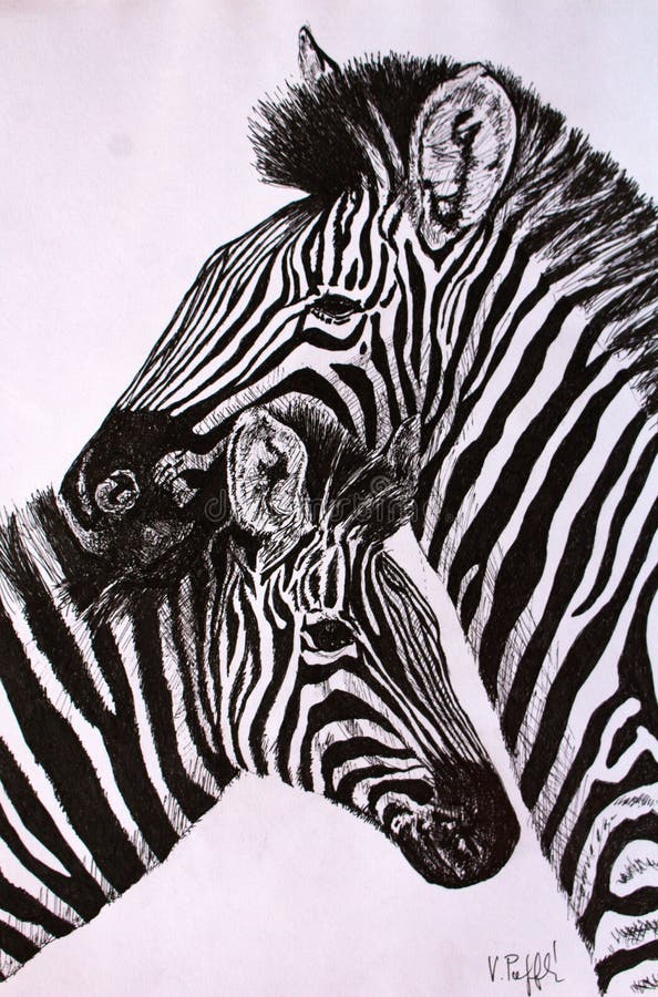 1) Google OQ. zebras para colorir TODAS IMAGENS NOTÍCIAS SHOPPING VÍDEOS do  rosto (P I imprimir animais Zebras para colorir I Desenhos par  amordepapeis.com.br 3000+ Desenhos para Colorir I Zeb br 