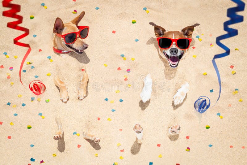 Couple of two dogs buried in the sand at the beach on happy new years eve ,confetti and serpentine streamers all over the place. Couple of two dogs buried in the sand at the beach on happy new years eve ,confetti and serpentine streamers all over the place