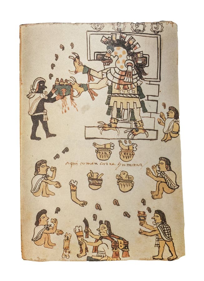 Cannibalism practices at aztec Human sacrifices ceremony. Folio 64. Codex Tudela, 16th-century pictorial Aztec codex. Museum of the Americas, Madrid, Spain. Cannibalism practices at aztec Human sacrifices ceremony. Folio 64. Codex Tudela, 16th-century pictorial Aztec codex. Museum of the Americas, Madrid, Spain