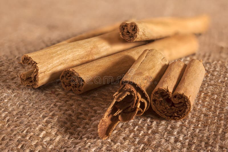 Cinnamon quills on hessian or sack cloth. This tasy and popular spice is widely used in baking and also in curries. It is obtained from the inner bark of several species of trees from the genis Cinnamomum, and is usually used ground, although it is often used whole in curries. This image shows both the interior and exterior of the quills, and is in focus to just over half way back. The top of the. Cinnamon quills on hessian or sack cloth. This tasy and popular spice is widely used in baking and also in curries. It is obtained from the inner bark of several species of trees from the genis Cinnamomum, and is usually used ground, although it is often used whole in curries. This image shows both the interior and exterior of the quills, and is in focus to just over half way back. The top of the
