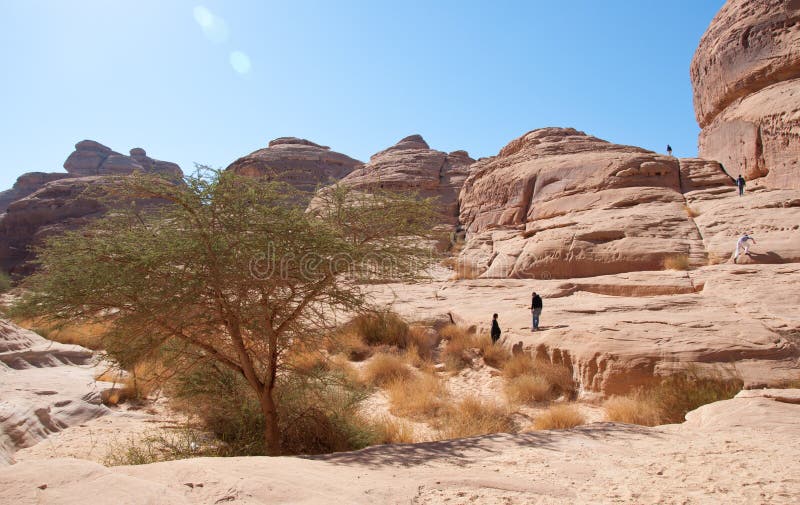 Canion in archeologische plaats Madain Saleh Saudi Arabia royalty-vrije stock foto's Canion in archeologische plaats Madain Saleh Saudi Arabia royalty-vrije stock foto's