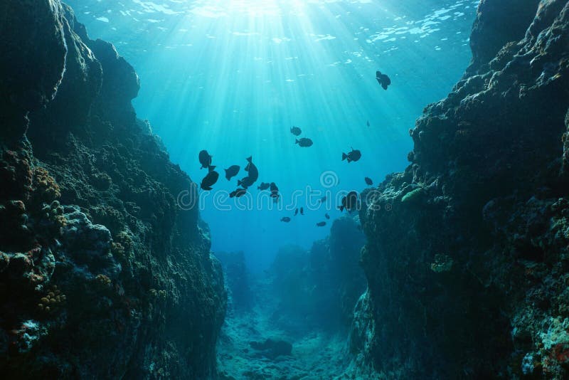 Canion onderwater met zonlicht Vreedzame oceaan