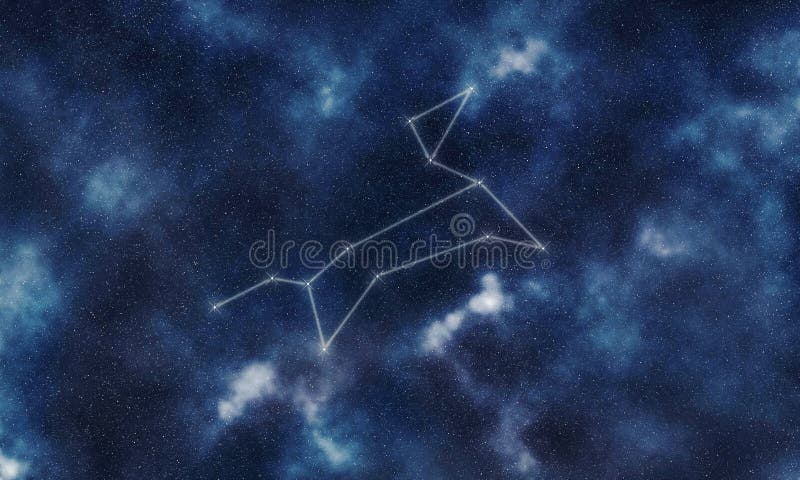 Canis Major Star Constellation Night Sky Greater Dog Stock Canis Major Star Constellation Night Sky Greater Dog Stock