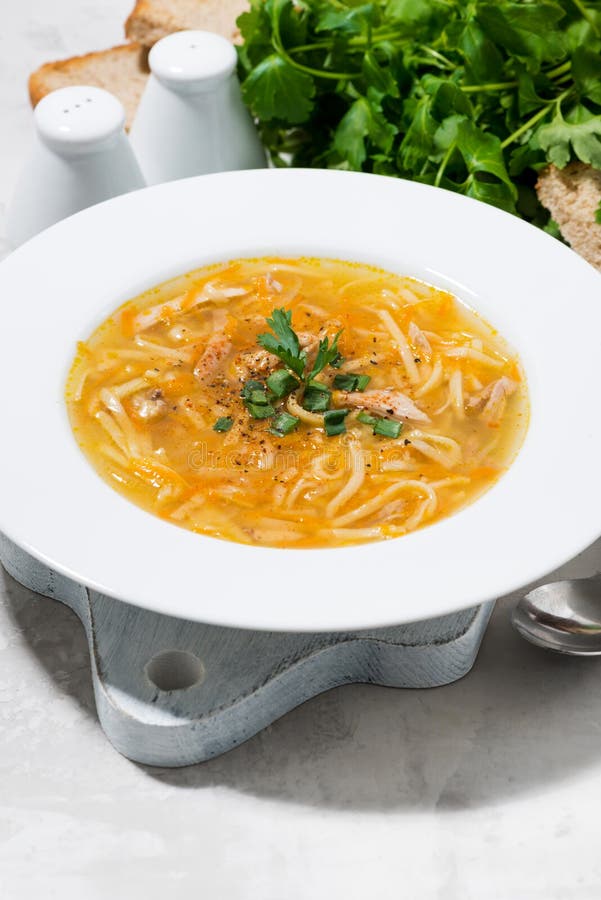 Canja de galinha com os macarronetes de ovo, verticais fotografia de stock