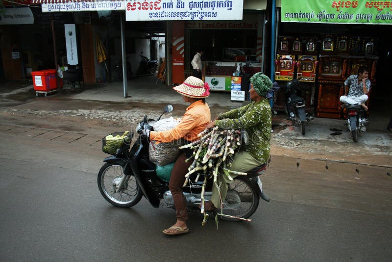 Download Canna da zucchero Cambogia immagine stock editoriale. Immagine di traffico - 56886114