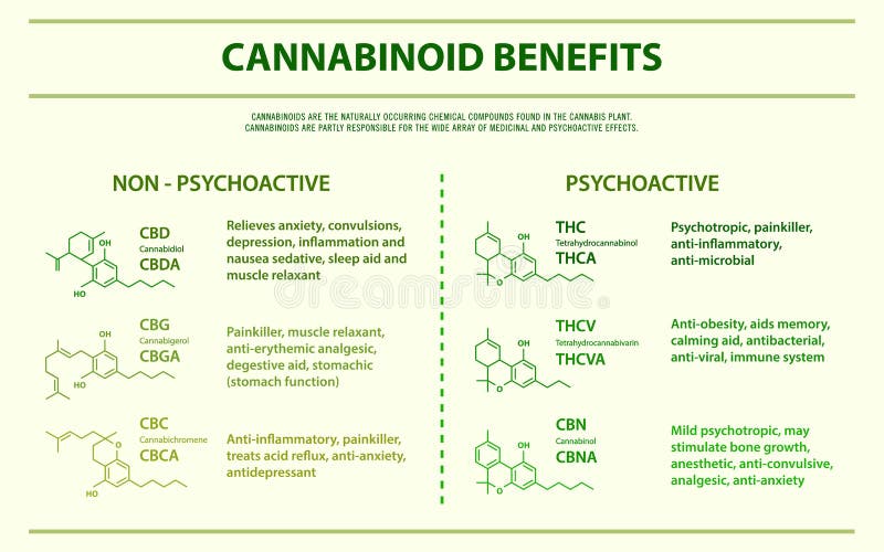 Cannabinoid bénéficie infographic horizontal illustration libre de droits Cannabinoid bénéficie infographic horizontal illustration libre de droits