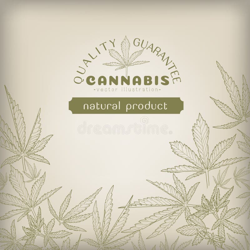 Cannabis Label Template stock vector. Illustration of nature 222035977 Cannabis Label Template stock vector. Illustration of nature 222035977