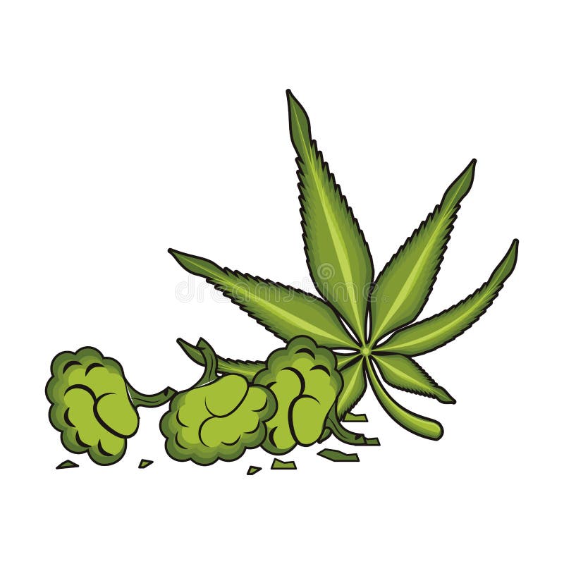 Cannabis Martihuana Sativa Hemp Cartoon Stock Vector - Illustration of addiction, health: 156528039 Cannabis Martihuana Sativa Hemp Cartoon Stock Vector - Illustration of addiction, health: 156528039