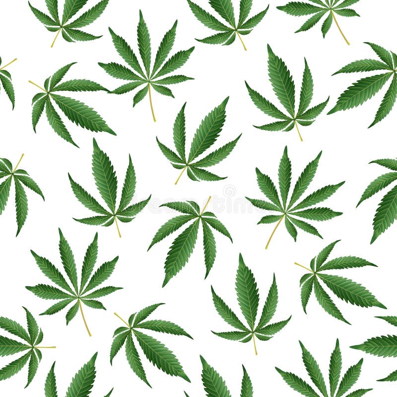 Cannabisbakgrund Sömlös modell för vektormarijuana vektor illustrationer Cannabisbakgrund Sömlös modell för vektormarijuana vektor illustrationer
