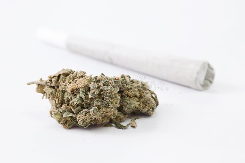cannabisskarv royaltyfri fotografi cannabisskarv royaltyfri fotografi