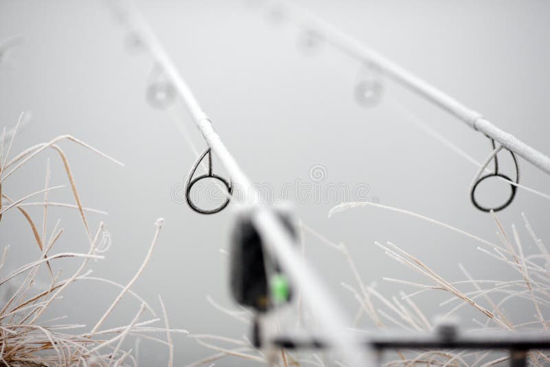 Canne Da Pesca Baitcasting Online: Baitcasting Professionali In Offerta - Foto 13