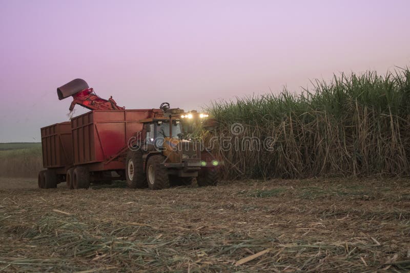 Canne à sucre - tracteur et canne à sucre de récolte mécanisée images stock Canne à sucre - tracteur et canne à sucre de récolte mécanisée images stock