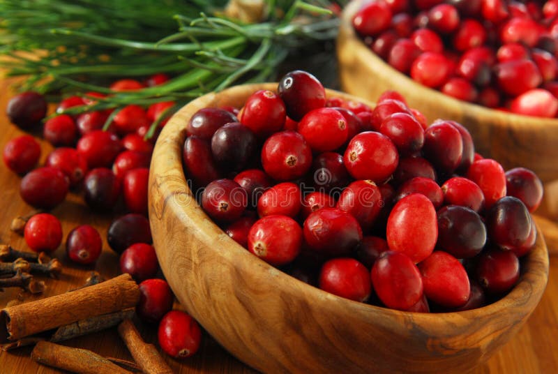 Canneberges dans des cuvettes photographie stock Canneberges dans des cuvettes photographie stock