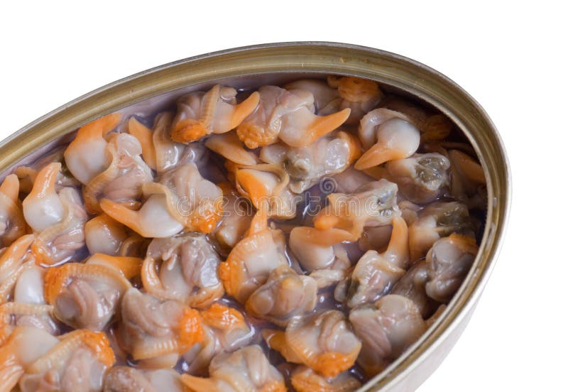 Canned Fish stock image. Image of canned, fish, food, diet 78117