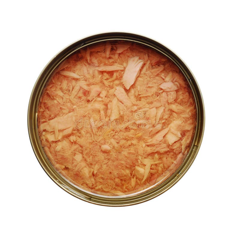 Canned fish stock image. Image of open, meal, white, cuisine 16954777