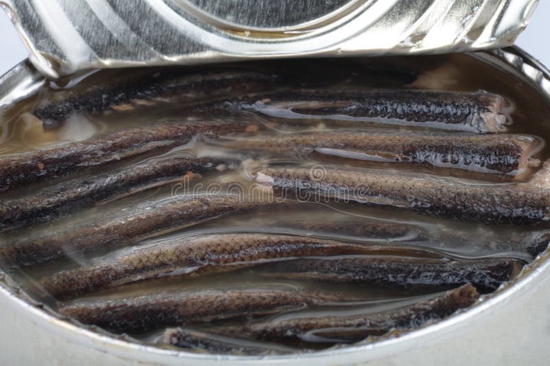 Canned fish in tin stock image. Image of grey, gourmet 12419343