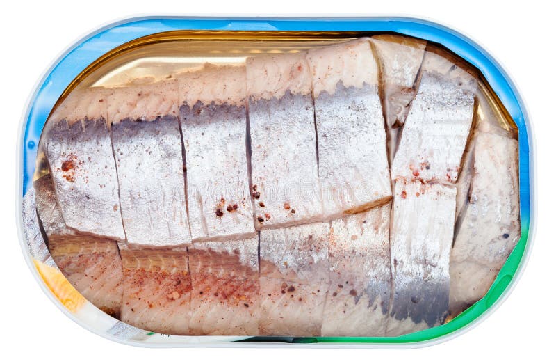 Canned Marinated Herring in Brine Isolated Stock Image Image of food