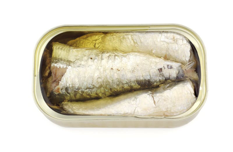 Canned sardines stock photo. Image of fisheries, nutrition 6690356