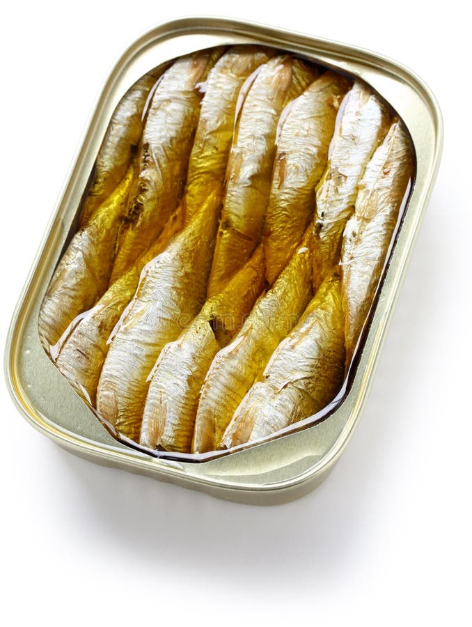 Canned sardines in oil stock photo. Image of container 25495944