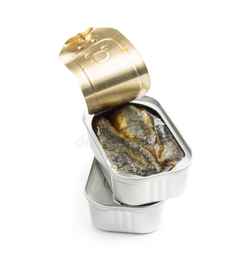 Canned Sardines. Sea Fish in Tin Can Stock Image Image of eating